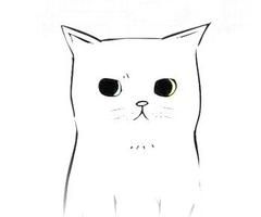 240x200 Cats Best Friends Drawing Tumblr - Tumblr Cat Drawing