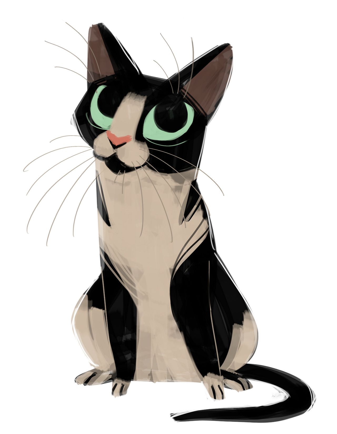 1280x1646 daily cat drawing tuxedo sketch illustrator tbd - Tumblr Cat Drawing