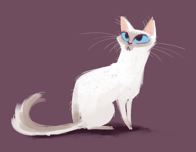 800x622 Senp - Tumblr Cat Drawing