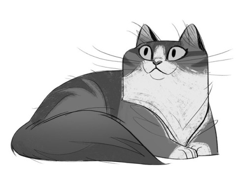 500x386 Tumblr Outlines Drawing - Tumblr Cat Drawing