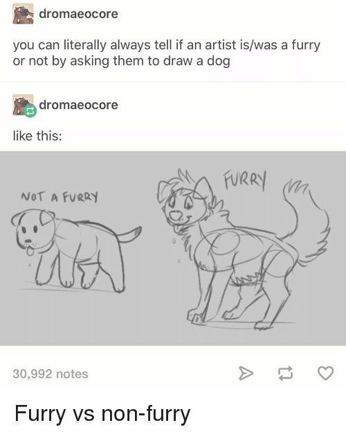 500x628 dromaeocore you can literally always tell if an artist iswas - Tumblr Dog Drawing