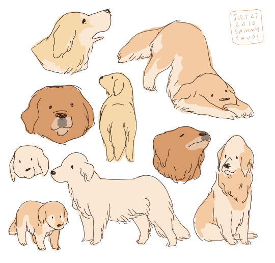 540x516  - Tumblr Dog Drawing