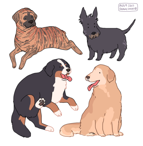 500x509 commission - Tumblr Dog Drawing