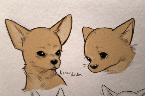 500x334 Dog Art Tumblr - Tumblr Dog Drawing
