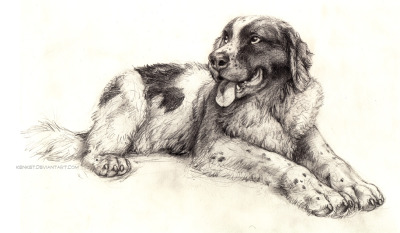 400x233 Dog Drawing Tumblr - Tumblr Dog Drawing
