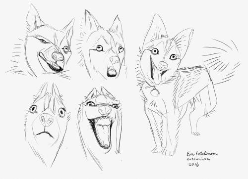 500x362 Dog Drawings Tumblr - Tumblr Dog Drawing