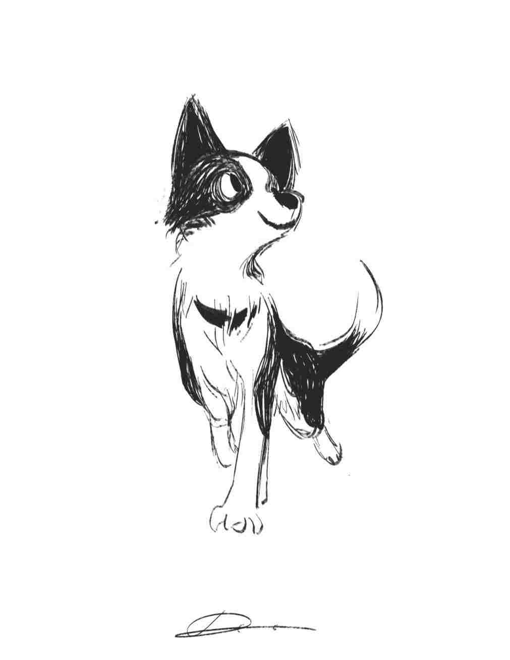 1011x1308 Httpbirdyhoodiecom Dog Drawing Tumblr Character Design - Tumblr Dog Drawing