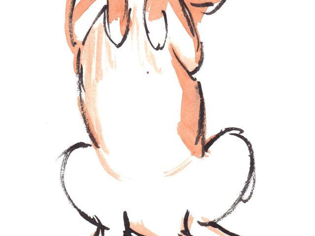 640x480 Cute Drawing Of Dogs Cute Dog Drawings Tumblr Gallery Dogdrawing - Tumblr Dog Drawing