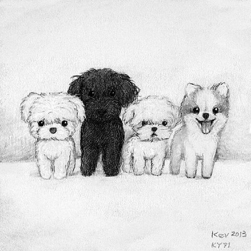 500x500 Cute Dogs Drawing Idea Discovered - Tumblr Dog Drawing