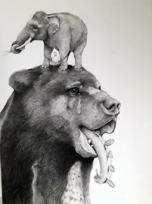 500x670 Pencil Drawings Tumblr - Tumblr Pencil Drawings