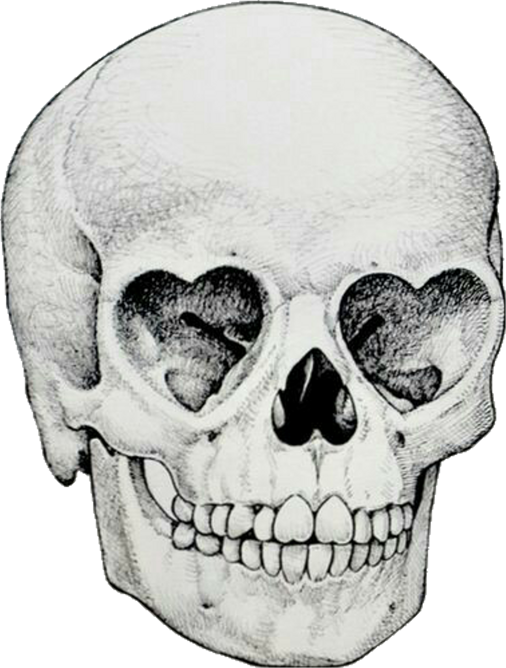 1024x1352 Skull Drawing Face Tumblr Sugar - Tumblr Skull Drawing