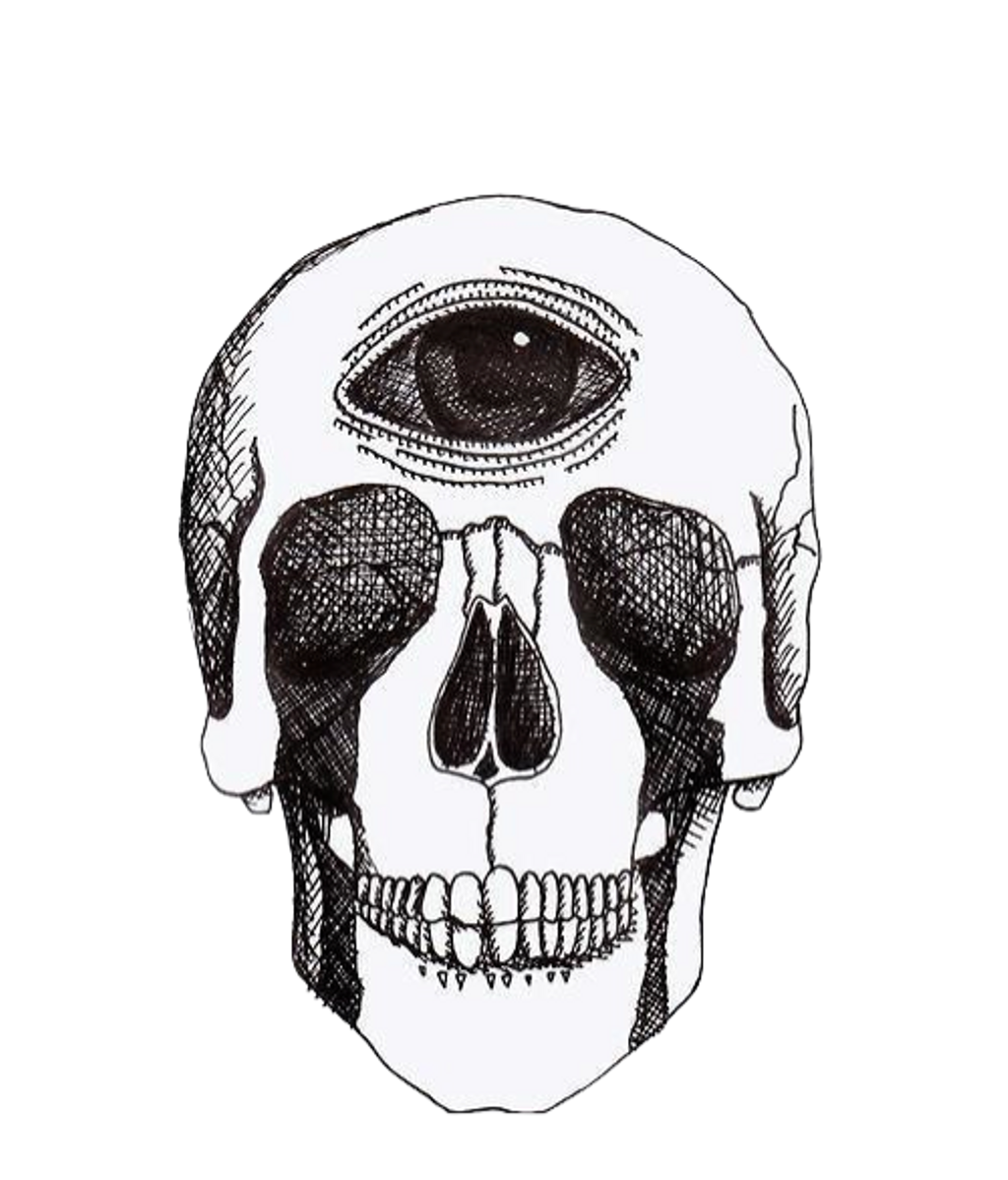 1024x1198 Skull Drawing Face Tumblr Sugar - Tumblr Skull Drawing