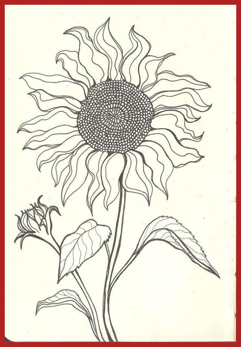 770x1109 Sunflower Clipart Tumblr Great Free Clipart, Silhouette - Tumblr Sun Drawing