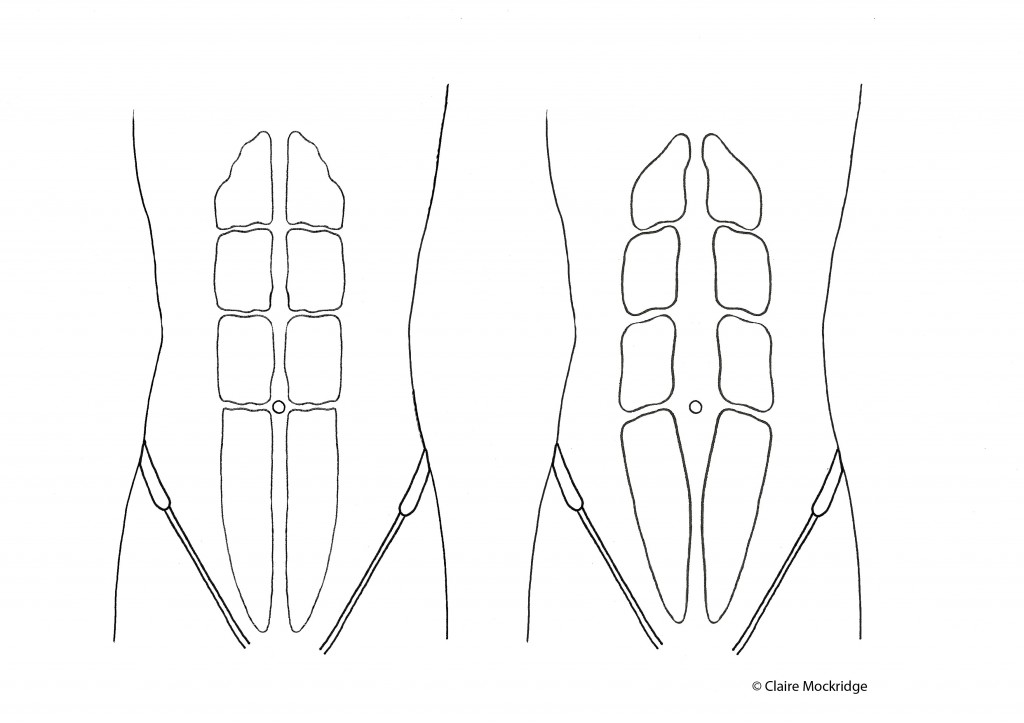 1024x723 still telling your clients to 'draw their tummy in' claire - Tummy Drawing