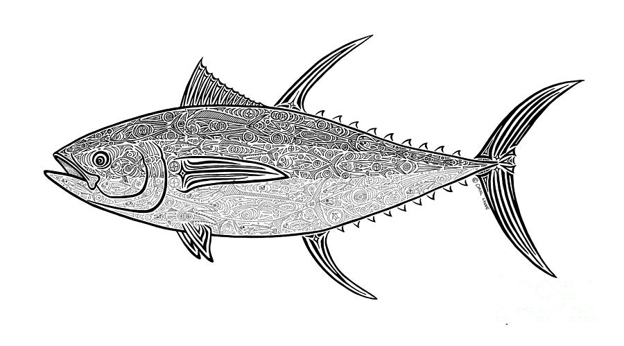 900x499 Tribal Ahi Drawing - Tuna Drawing