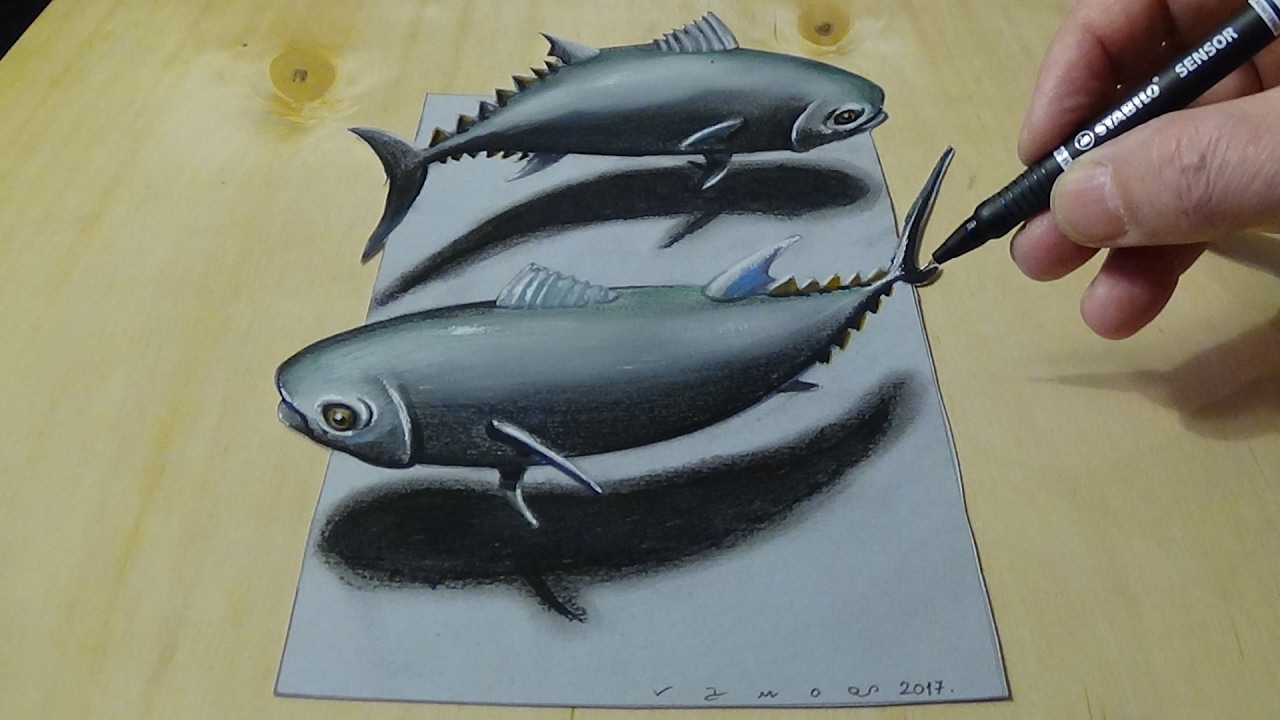 1280x720 how to draw tuna fish - Tuna Drawing