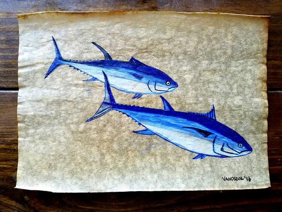570x428 original blue fin tuna fish fishing antiqued parchment etsy - Tuna Fish Drawing