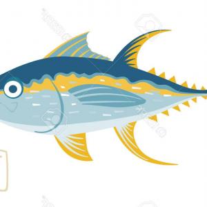 300x300 photostock vector draw tuna fish vector sohadacouri - Tuna Fish Drawing