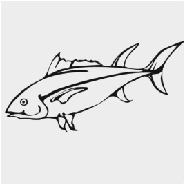 268x268 tuna fish coloring - Tuna Fish Drawing