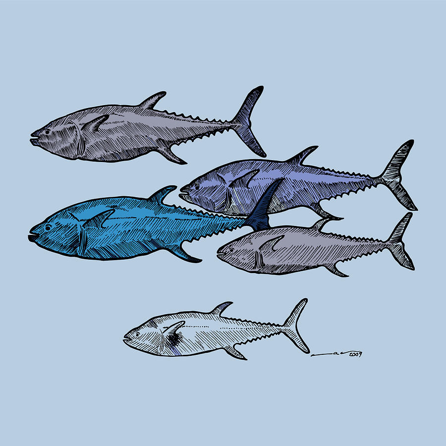 900x900 tuna school of fish drawing - Tuna Fish Drawing