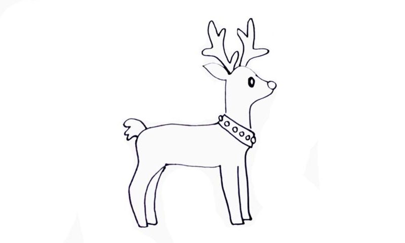 800x480 how to draw a reindeer - Tundra Animals Drawings