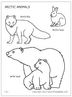 150x200 step polar habitat diorama kai polar project abc polar - Tundra Animals Drawings