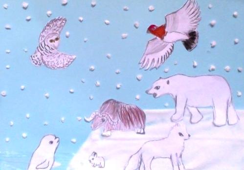 499x348 tundra biome animals drawings lapatrona club - Tundra Animals Drawings