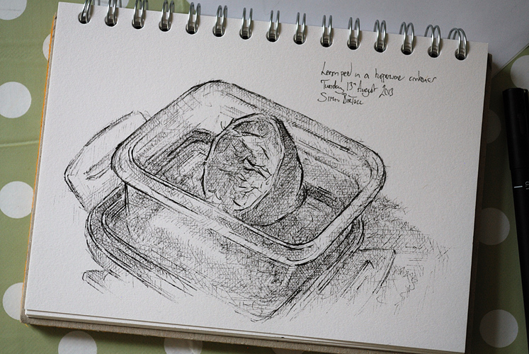 747x500 lemon peel in a tupperware container, august drawing - Tupperware Drawing
