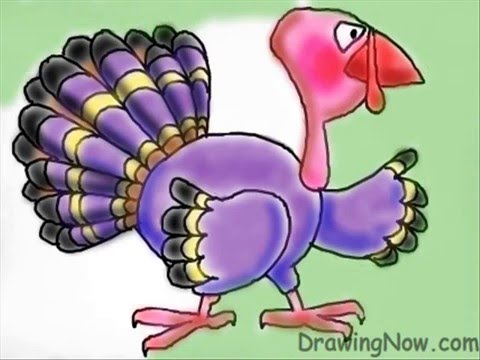 480x360 How To Draw A Turkey Bird - Turkey Bird Drawing