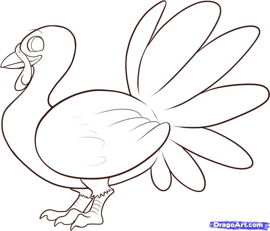 1053x900 New Easy Turkey Drawing - Turkey Bird Drawing
