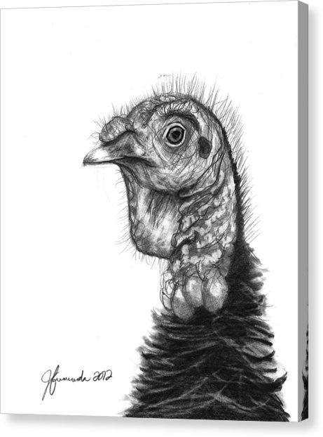 461x622 Turkey Bird Drawing - Turkey Bird Drawing