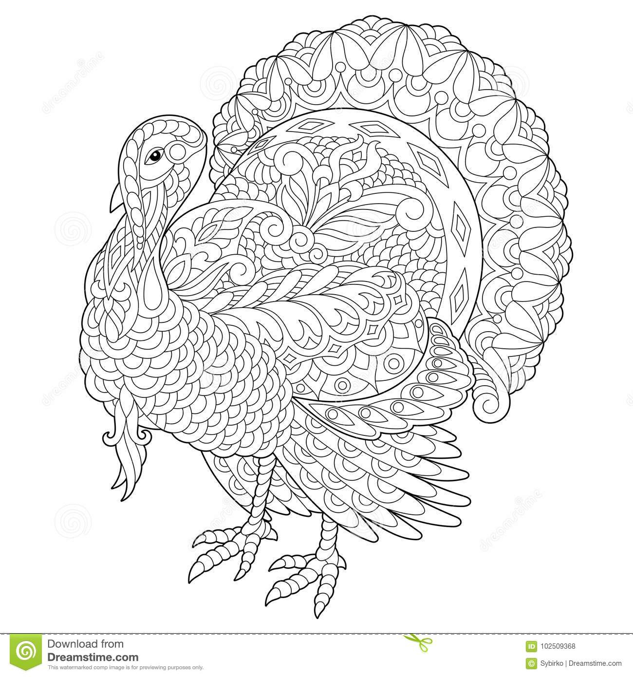 1300x1390 turkey sketch drawing and zentangle stylized turkey bird stock - Turkey Bird Drawing