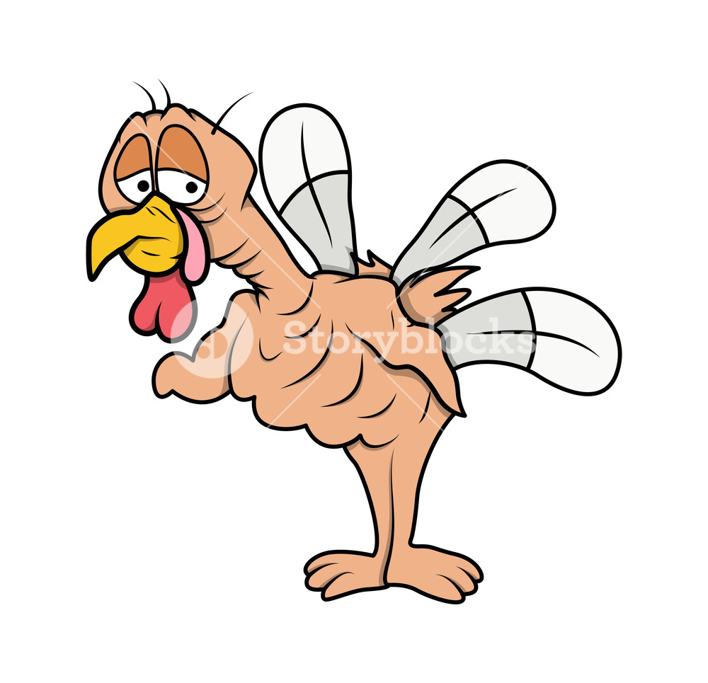 1000x965 weak turkey bird character royalty free stock image - Turkey Bird Drawing