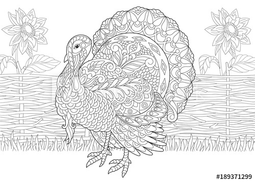 Turkey Bird Drawing at PaintingValley.com | Explore collection of ...