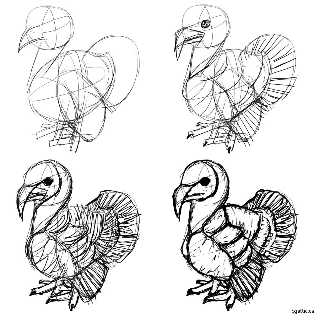 1000x1000 Turkey Cartoon Drawing In Steps With Photoshop - Turkey Cartoon Drawing