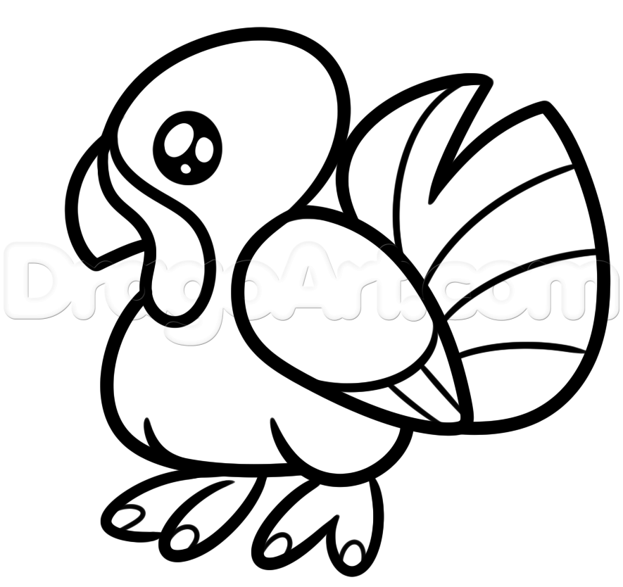 885x834 How To Draw A Simple Turkey, Step - Turkey Drawing