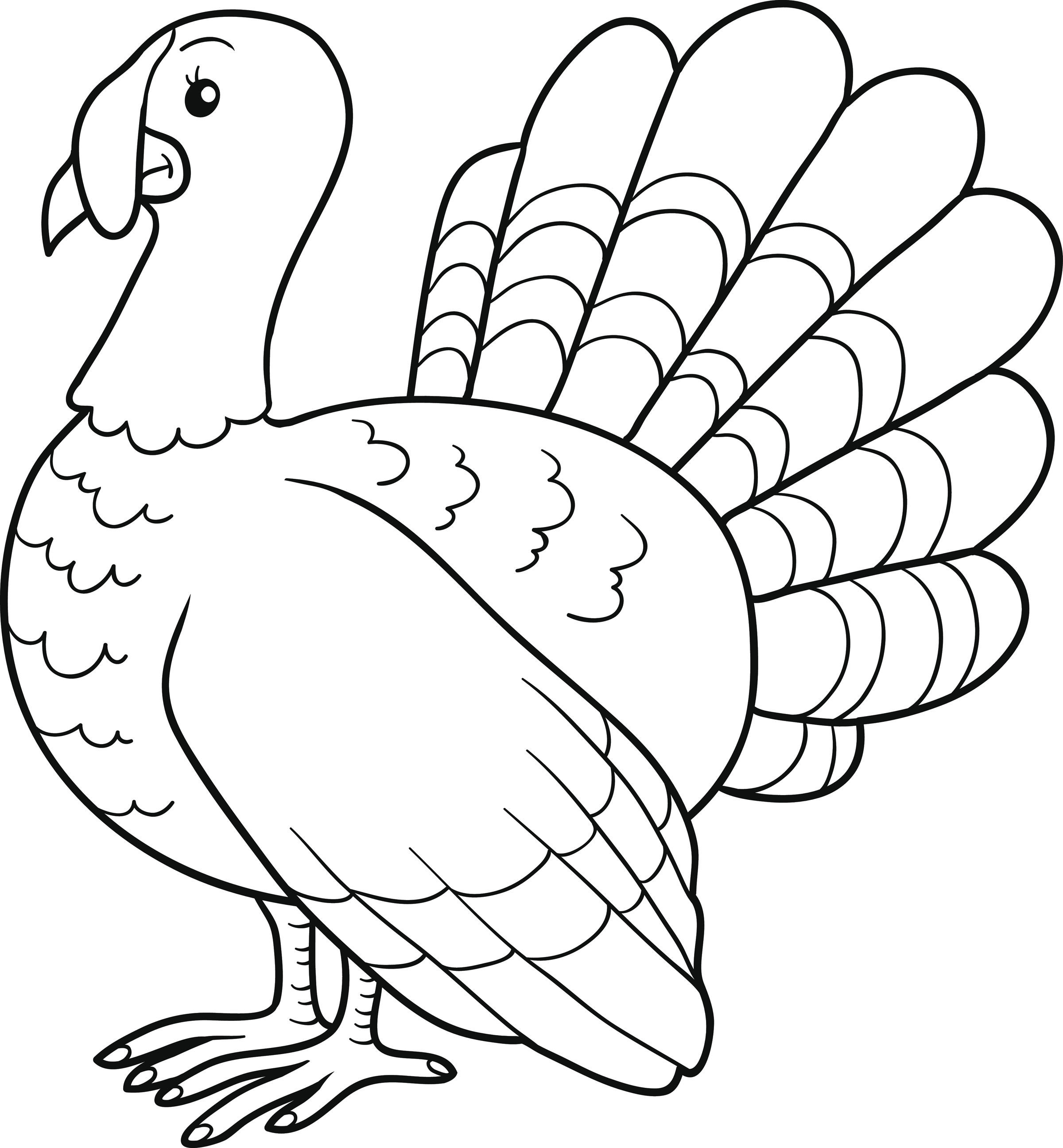 2400x2592 North Jersey - Turkey Drawing