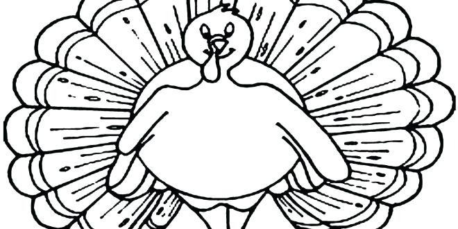 660x330 drawing of a turkey drawing a turkey cartoon drawing turkey - Turkey Drawing Cartoon