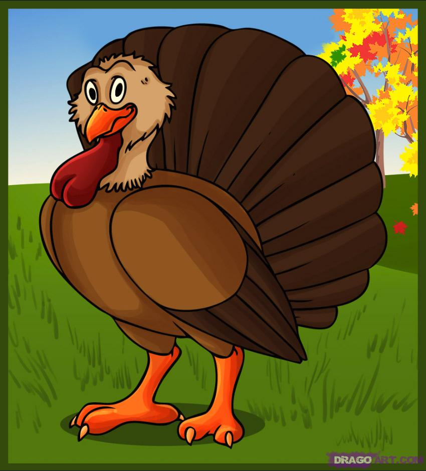 850x939 How To Draw A Cartoon Turkey, Step - Turkey Drawing Cartoon