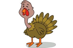 300x200 How To Draw A Turkey For Kids - Turkey Drawing For Kids