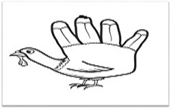 250x160 How To Draw Turkey Hand Drawing Step - Turkey Drawing Images