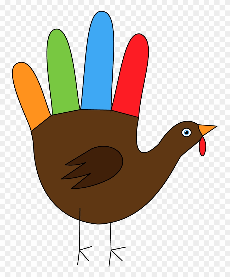 880x1060 january th centipedes sketchdaily - Turkey Drawing Images