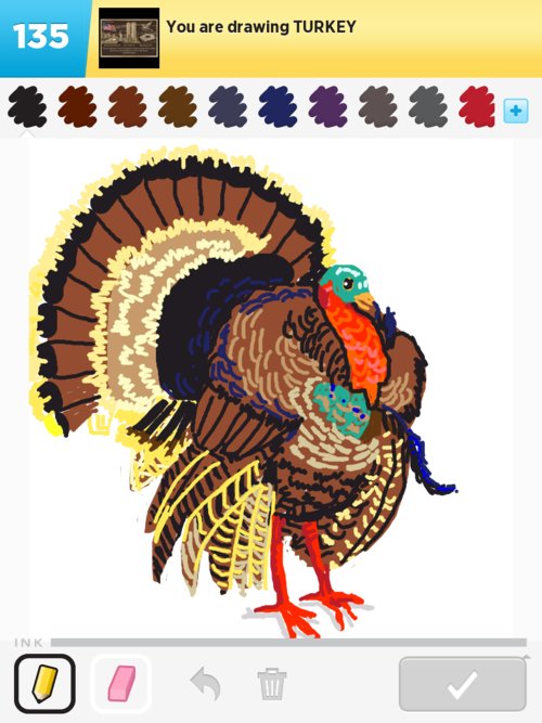 500x667 Turkey Drawings - Turkey Drawing Images