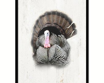 340x270 Wild Turkey Drawing Etsy - Turkey Drawing Images