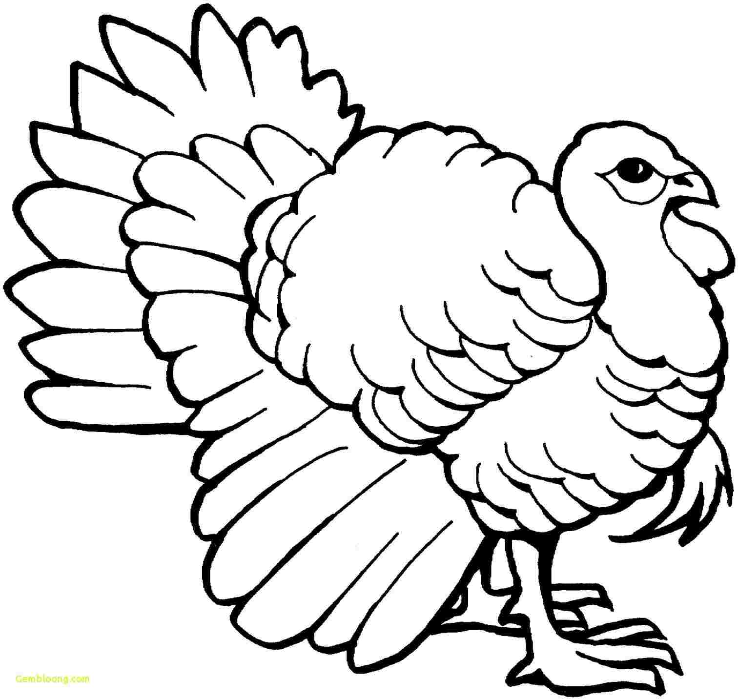 1512x1434 Vector Rhshutterstockcom Hand Drawing Thanksgiving Turkey Drawn - Turkey Drawing Outline