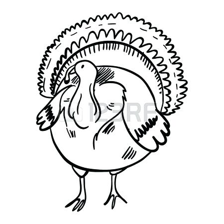 450x450 cute turkey drawing cute turkey drawing outline cute turkey - Turkey Drawing Outline