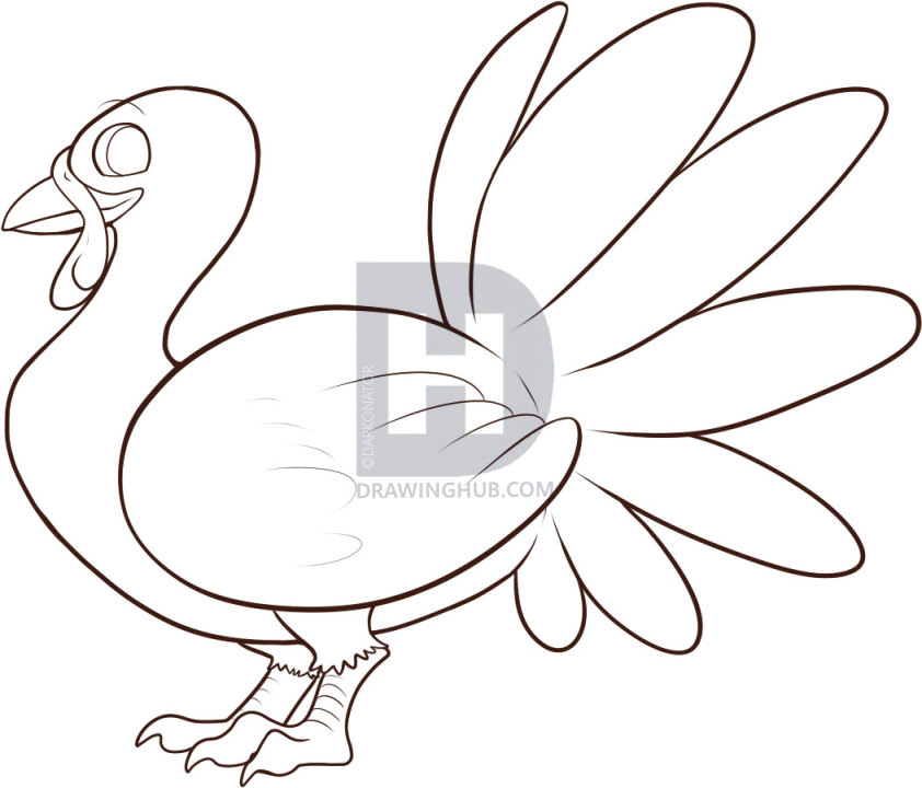 842x720 How To Draw An Easy Turkey, Step - Turkey Drawing Pictures