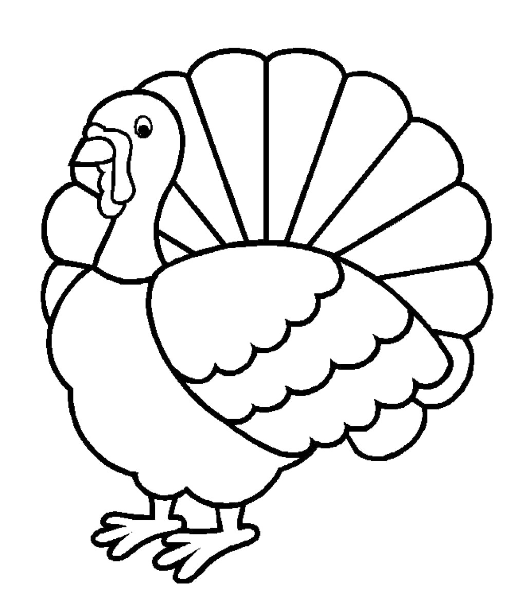 1024x1178 Portfolio Outline Of A Turkey Drawing At Getdrawings Com Free - Turkey Drawing Pictures