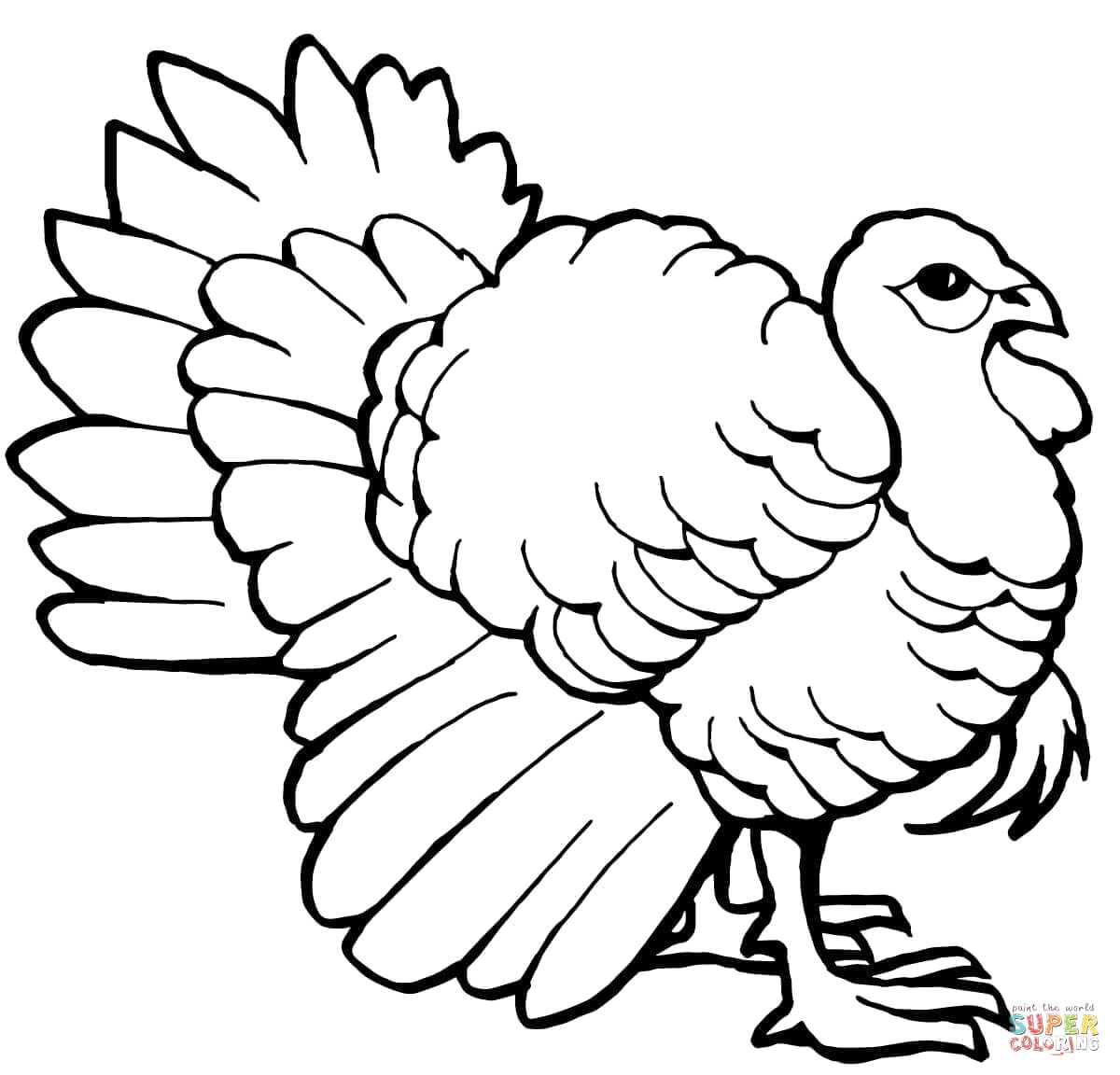 1200x1152 Profitable Turkey Outline Printable Drawing Tom Coloring - Turkey Drawing Pictures
