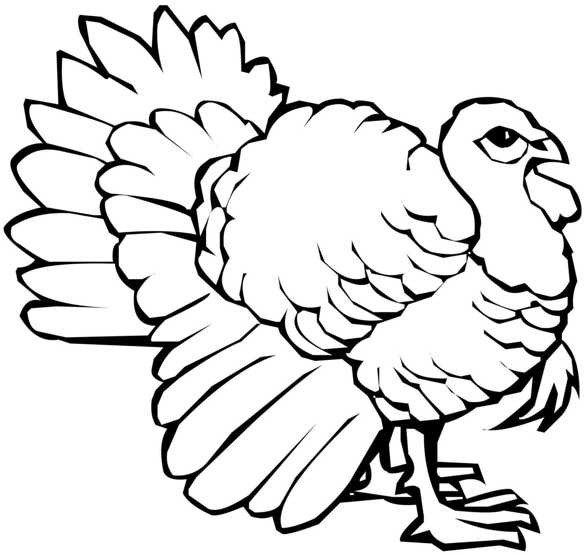 2000x1901 Directed Drawing Turkey For Free Download - Turkey Drawing Pictures